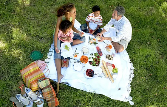 Picnic Picnic