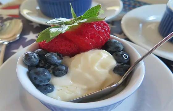 Blueberry Frozen Yogurt Blueberry Frozen Yogurt