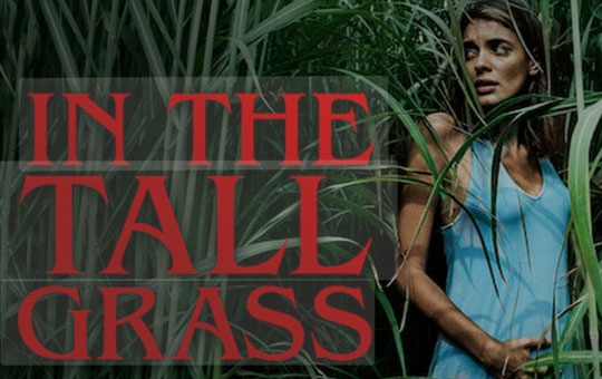 In the Tall Grass Poster
